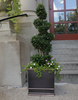 17" Zarif Copper planter planted with topiary plant