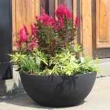 Large Flat Bottom Bowl planter