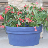 Low rolled rim planter with non-standard color 43,863HDC blue