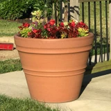 Rolled Rim Planter in terracotta finish