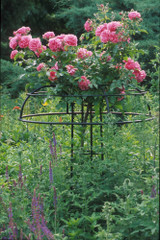 Giverny Rose Umbrella