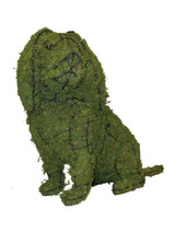 Cavalier Sitting Dog Topiary Frame Mossed