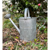 2.6 gallon Galvanized Watering Can