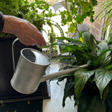 small galvanized indoor watering can