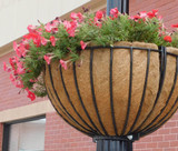 GLPH25 Coco Liners shown in LPH25 basket