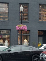 25" Lamppost Hayrack with Molded Coco Liner - 2 Pack