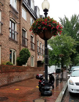 25" Lamppost Hayrack in Georgetown