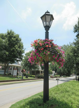 25" Lamppost Hayrack with coco liner planted along street