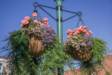 22" Bellus Baskets in Flagstaff AZ