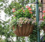 22" Bellus Basket with coco liner and planted