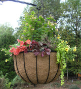 22" Hanging Basket BS22SET