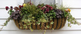 24" Window Hayrack planted