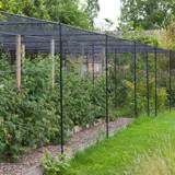 Superior walk-in fruit cage