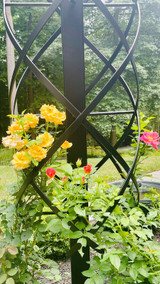 Charleston Rose Pillar with Yellow Rose
