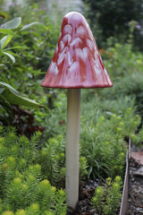 Red and White Shroomyz