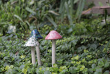 miniature ceramic mushrooms