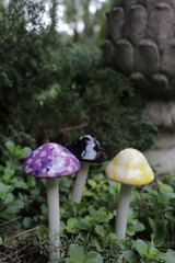 6" ceramic mushrooms