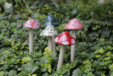 Assorted set of 5 mirco shroomyz