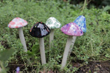 Assorted set of 5 mirco shroomyz