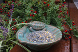 Turtle on Shell Bird Feeder florentine finish