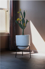 Ziva planter in white