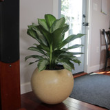 Medium Artemis planter in yellow