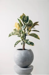 Artemis Sphere Planter in Grey