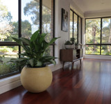 Medium Artemis Planter in Creme by window in living room