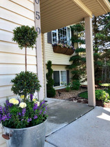 KC26SET 80" Window Hayrack