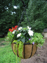14" Bellus Basket with coco liner and planted 14" Bellus Basket with coco liner and planted