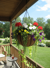 Bellus hanging basket on porch