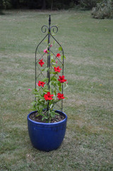 Small Pot Trellis