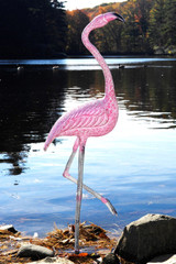 Flamingo statue near lake