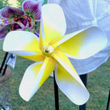Yellow Plumeria Paper Pinwheel