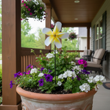 Yellow Paper Pinwheel in front porch pot