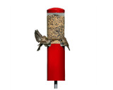 Squirrel Proof Classic Bird Feeder with Pole and Baffle in red