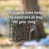 Seed cakes that keep squirrels at bay