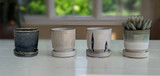 Small 3" ceramic planter with saucer