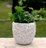 6" Concrete Planter with flower design planted with ivy