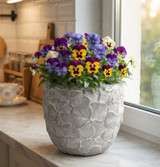 Nice contrast with planter and flowers in the 6" small pot