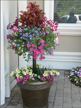 Basket Column for Large Pots for use with Pamela Crawford Baskets