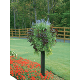 Pamela Crawford Border Column Kit