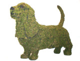 Basset Hound Dog Topiary Mossed