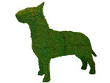 Bull Terrier Topiary Mossed