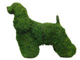 Cocker Spaniel Topiary Mossed