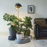 Pebble Caddy - Crescent Plastic Saucers