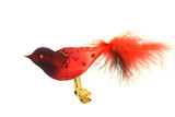 Colorful glass bird ornament with clip-on Colorful glass bird ornament with clip-on