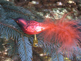 Colorful clip-on blown glass Bird Ornament with feather tail 