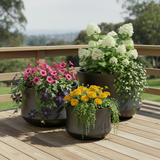 Set of 3 Ankara planters on deck with plantings