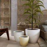 Indra Planter